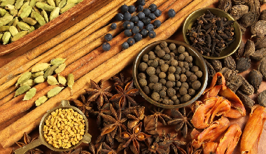 The Future of Sustainable Agriculture: How Paras Agro is Leading the Way